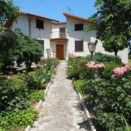 Madre Terra - B&B Ostra Molino Apolloni 外观 照片