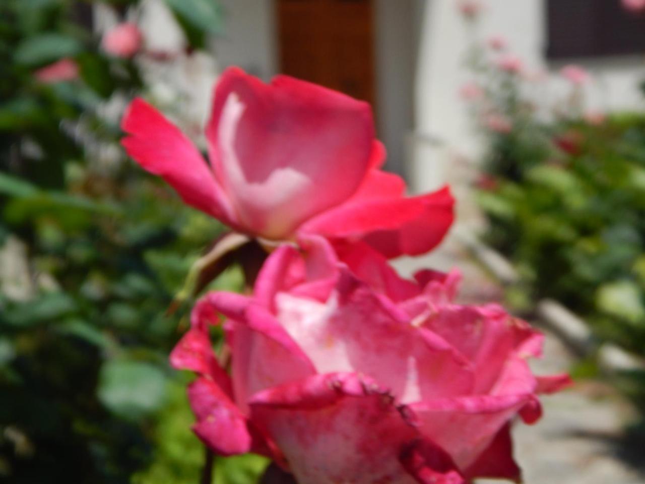 Madre Terra - B&B Ostra Molino Apolloni 外观 照片