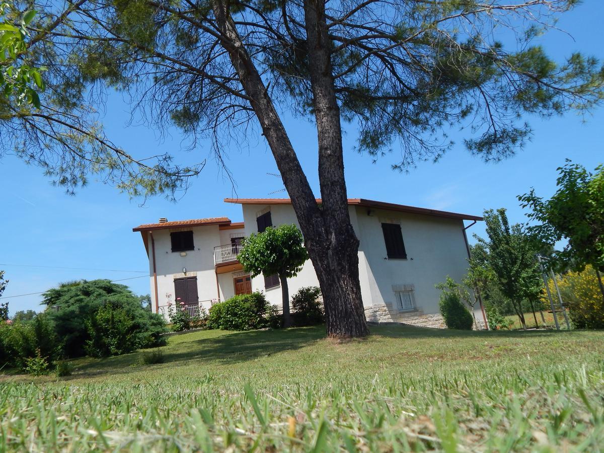 Madre Terra - B&B Ostra Molino Apolloni 外观 照片