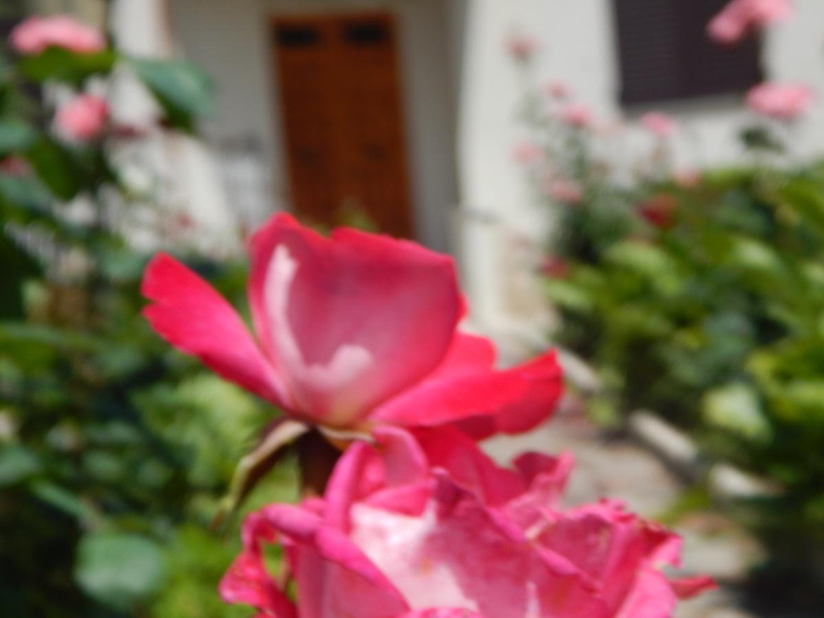Madre Terra - B&B Ostra Molino Apolloni 外观 照片